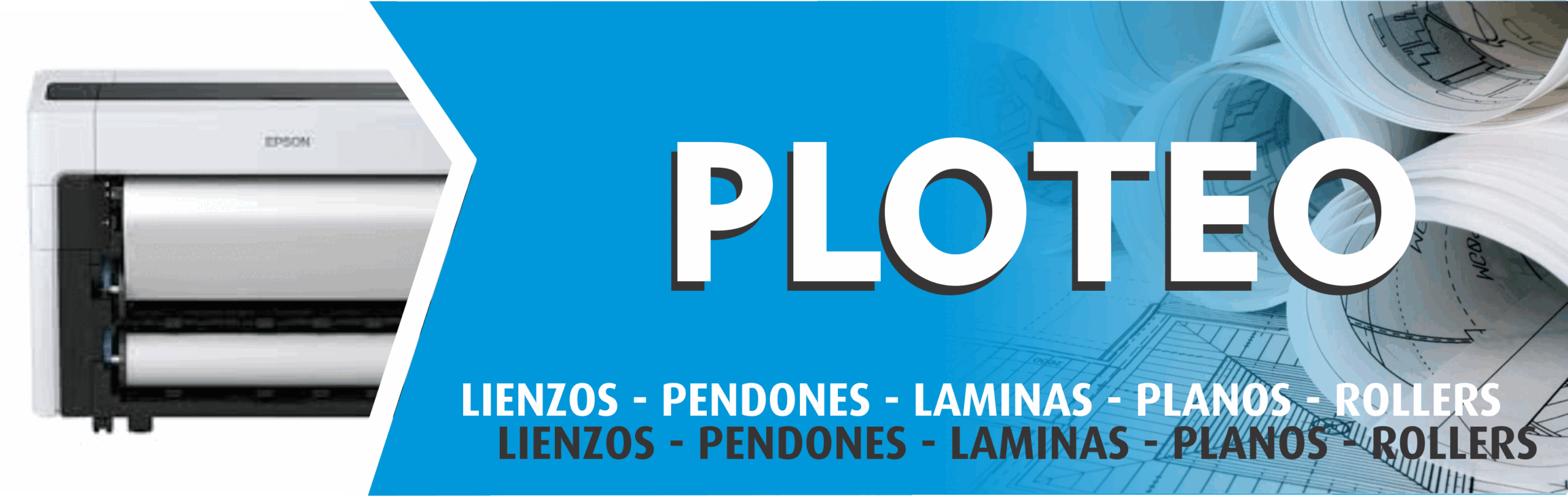Home ploteo web